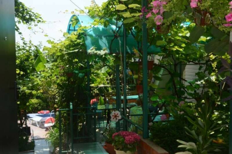 Изображение Изображение гостиницы &quot;Гостевой дом «Татьянин День»&quot; #5 #3