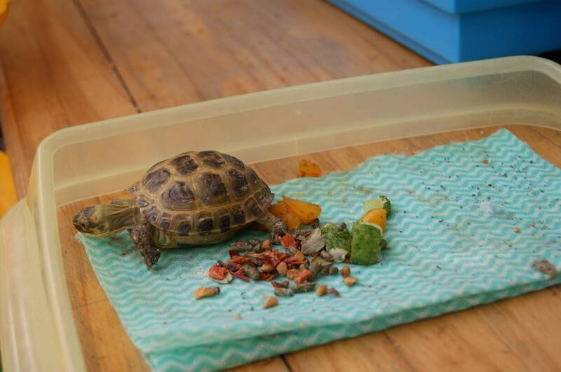 Изображение Изображение гостиницы &quot;Отель «Арго»&quot; #7 #5