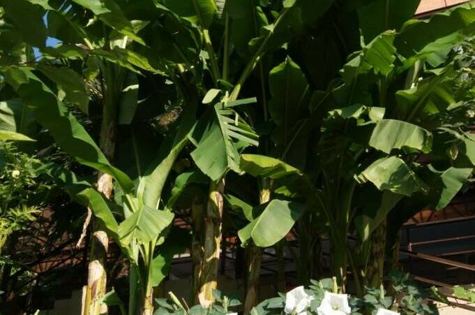 Изображение Изображение гостиницы &quot;Отель «Арго»&quot; #11 #9