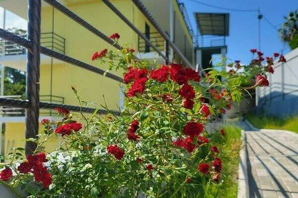 Изображение Изображение гостиницы &quot;Мини-отель «Лимончелло»&quot; #9 #7