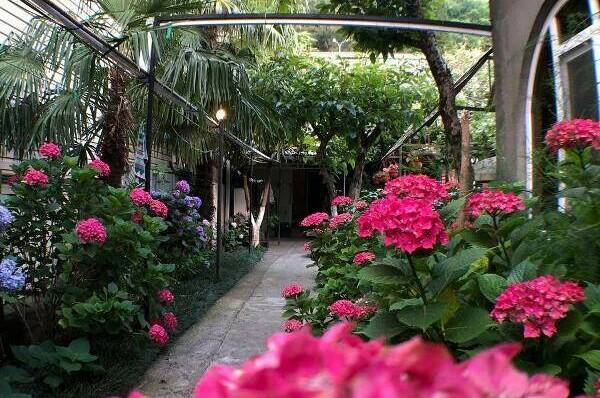 Изображение Изображение гостиницы &quot;Частный сектор «Елена»&quot; #5 #3