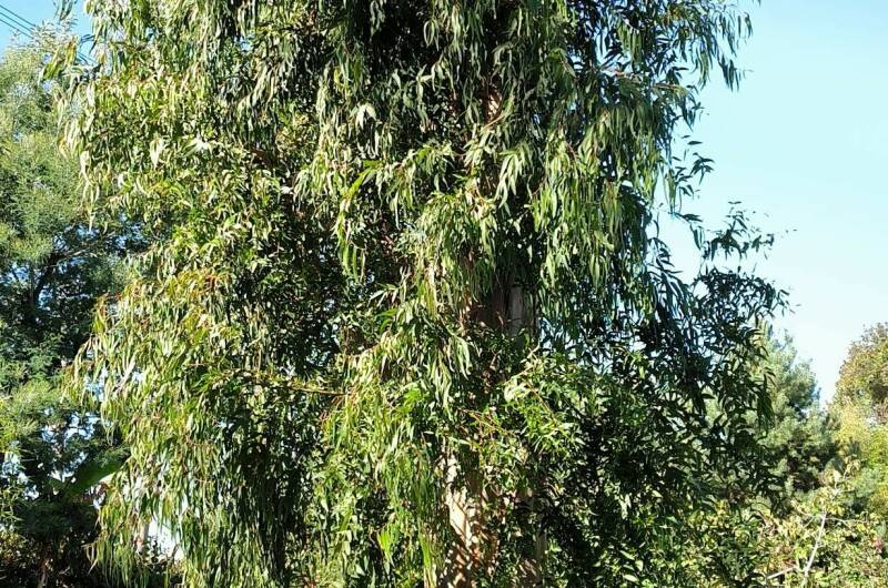 Изображение Изображение гостиницы &quot;Гостевой дом «На Берегу»&quot; #4 #2