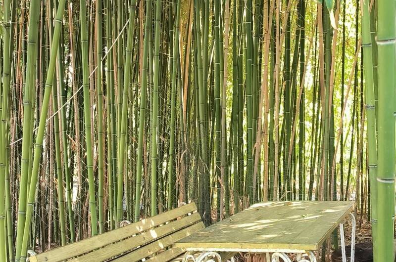 Изображение Изображение гостиницы &quot;Гостевой дом «На Берегу»&quot; #5 #3