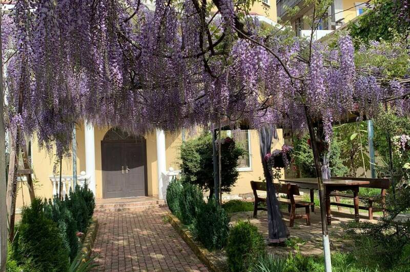 Изображение Изображение гостиницы &quot;Гостевой дом «Ева»&quot; #9 #7