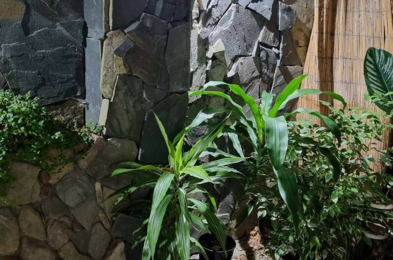 Изображение Изображение гостиницы &quot;Гостевой дом «Maremonte»&quot; #8 #6