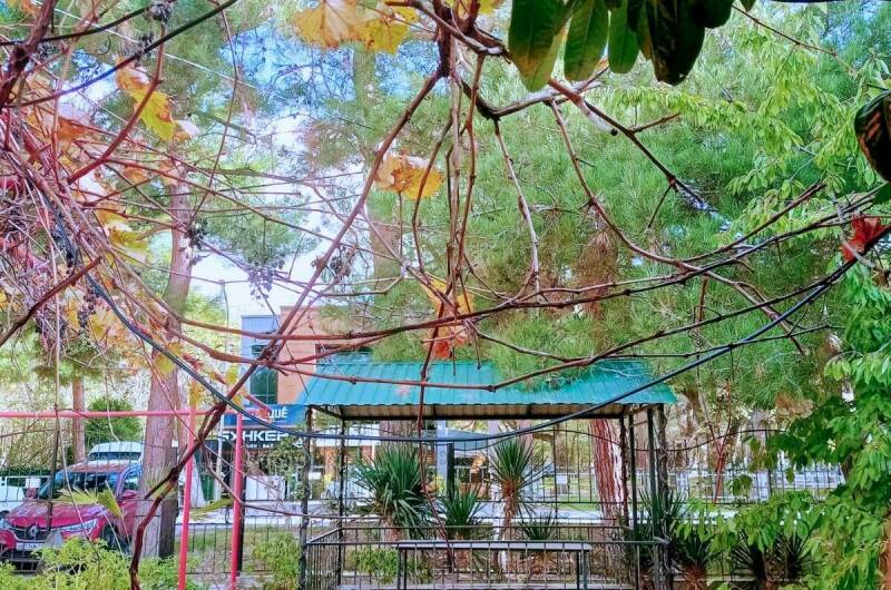 Изображение Изображение гостиницы &quot;Гостевой дом «Виктория»&quot; #8 #6