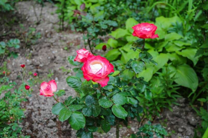 Изображение Изображение гостиницы &quot;Гостевой дом «Натали»&quot; #3 #1