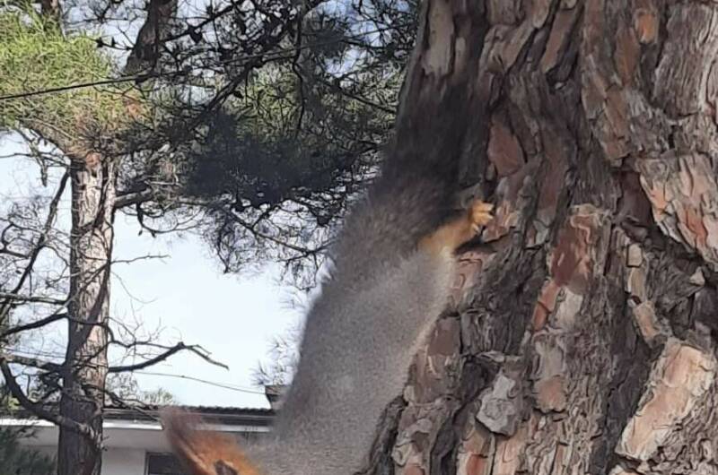 Изображение Изображение гостиницы &quot;Гостевой дом «Семья»&quot; #10 #8