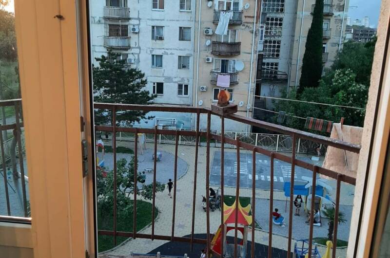 Изображение Изображение квартиры &quot;Двухкомнатная квартира на берегу моря&quot; #10 #8