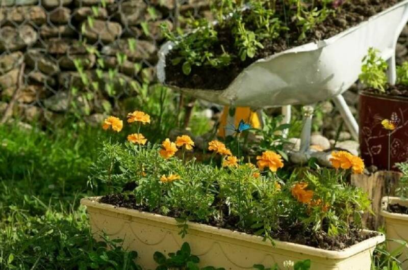 Изображение Изображение гостиницы &quot;Гостевой дом «Batterfly»&quot; #6 #4