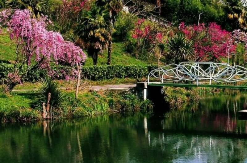 Изображение Изображение квартиры &quot;Квартира у моря&quot; #3 #1