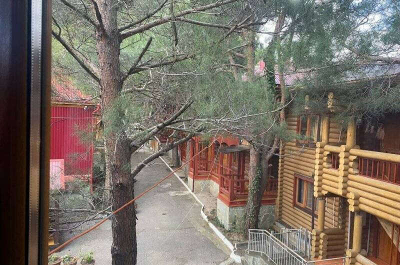 Изображение Изображение гостиницы &quot;Гостевой дом «Сосновый бор»&quot; #4 #2