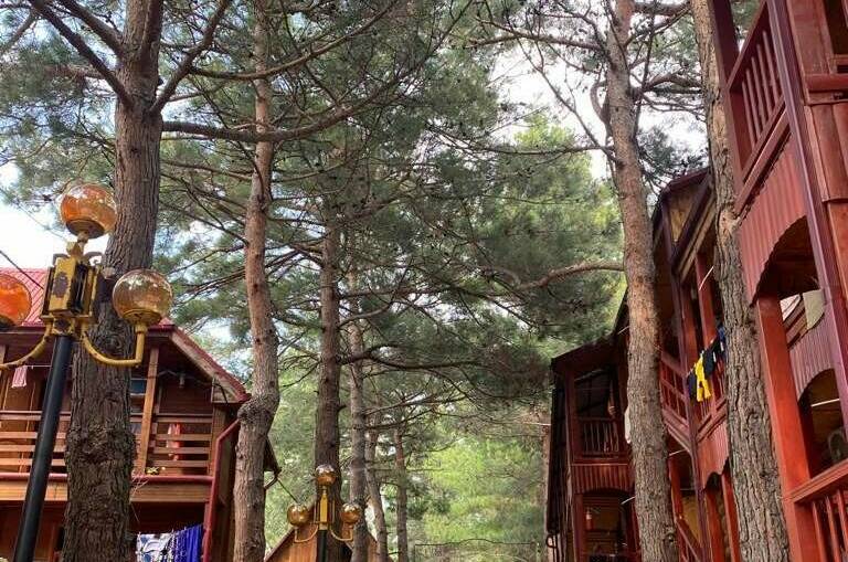 Изображение Изображение гостиницы &quot;Гостевой дом «Сосновый бор»&quot; #8 #6