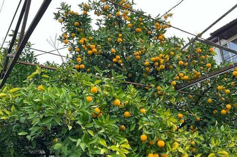 Изображение Изображение гостиницы &quot;Гостевой дом «У моря»&quot; #5 #3