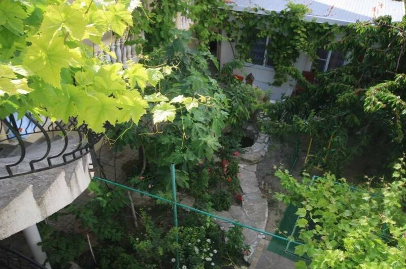 Изображение Изображение гостиницы &quot;Гостевой дом «Максим»&quot; #3 #1