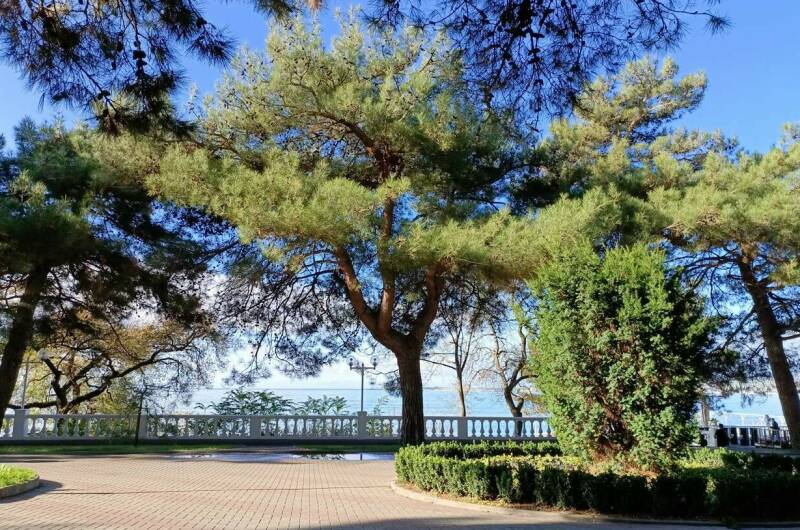 Изображение Изображение гостиницы &quot;Гостевой дом «Тургенев»&quot; #6 #4