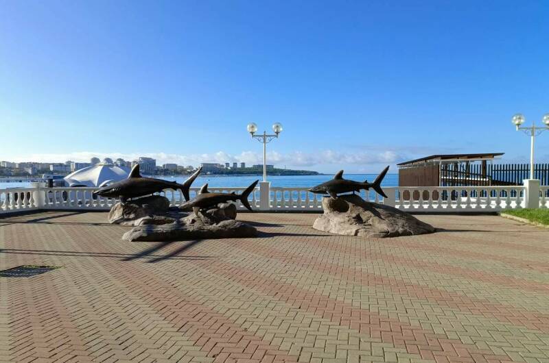 Изображение Изображение гостиницы &quot;Гостевой дом «Тургенев»&quot; #10 #8