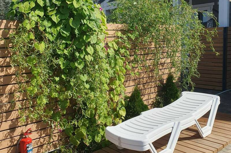 Изображение Изображение гостиницы &quot;Гостевой дом «У моря»&quot; #9 #7