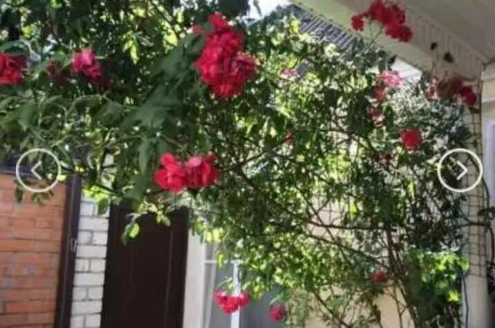 Изображение Изображение гостиницы &quot;Гостевой дом на Степной 11&quot; #6 #4