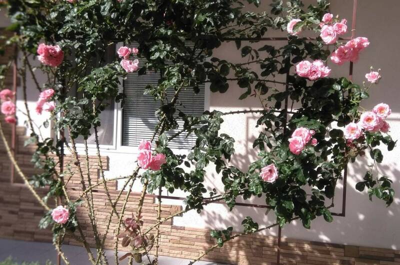 Изображение Изображение гостиницы &quot;Гостевой дом «Светлана»&quot; #5 #3