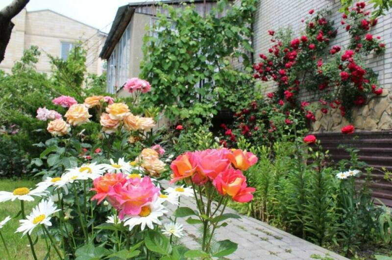 Изображение Изображение гостиницы &quot;Гостевой дом «Незабудка»&quot; #3 #1