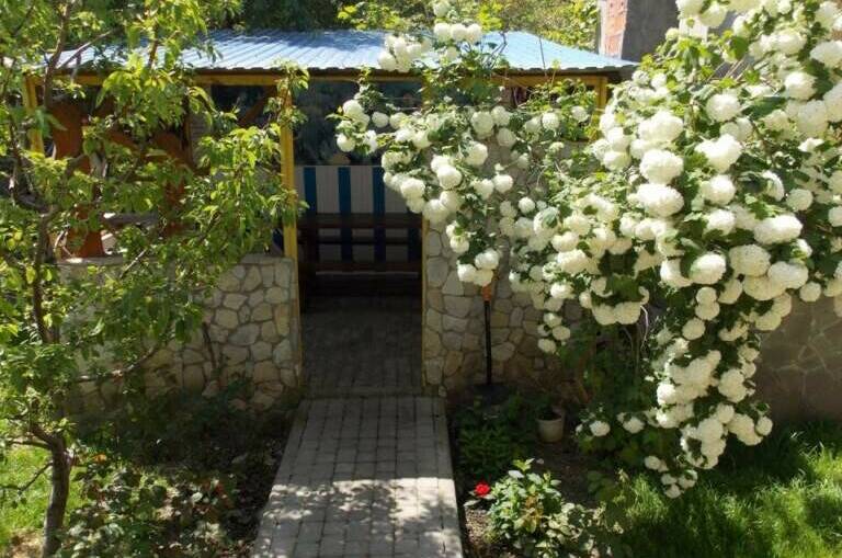 Изображение Изображение гостиницы &quot;Гостевой дом «Незабудка»&quot; #6 #4