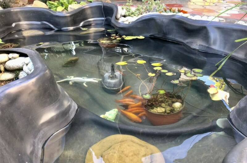 Изображение Изображение гостиницы &quot;Дом отдыха «Виноградный»&quot; #5 #3