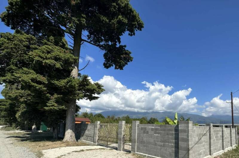 Изображение Изображение гостиницы &quot;Гостевой дом «Амели»&quot; #3 #1