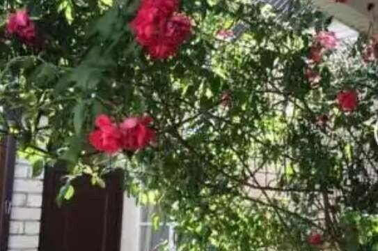 Изображение Изображение гостиницы &quot;Гостевой дом на Степной 11&quot; #11 #9