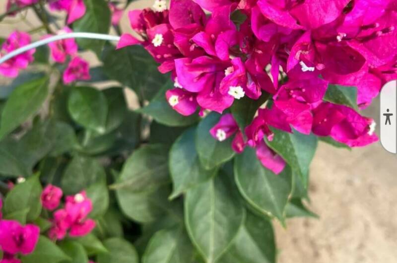 Изображение Изображение гостиницы &quot;Гостевой дом «Анна-Мария»&quot; #4 #2