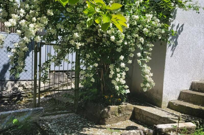 Изображение Изображение гостиницы &quot;Гостевой дом «Анна-Мария»&quot; #8 #6