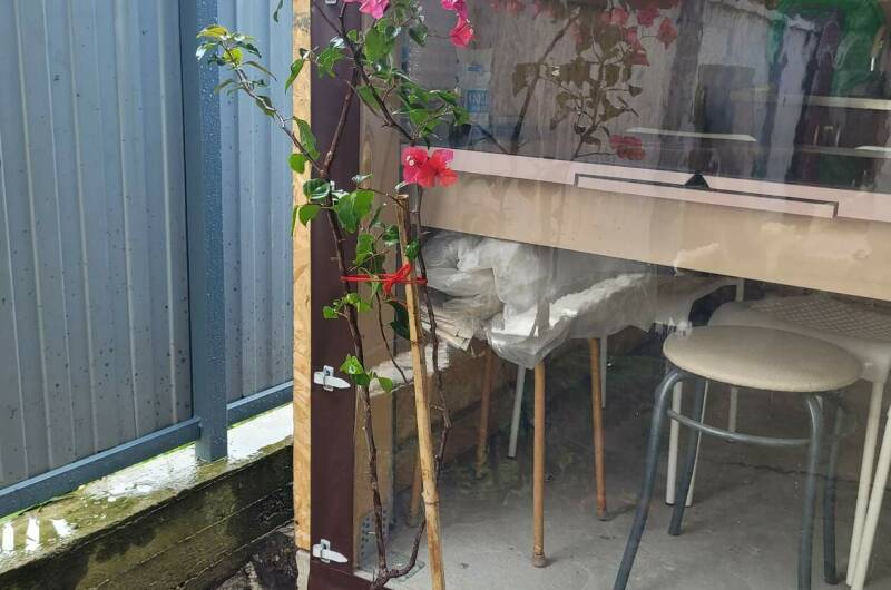 Изображение Изображение гостиницы &quot;Гостевой дом «Анна-Мария»&quot; #9 #7