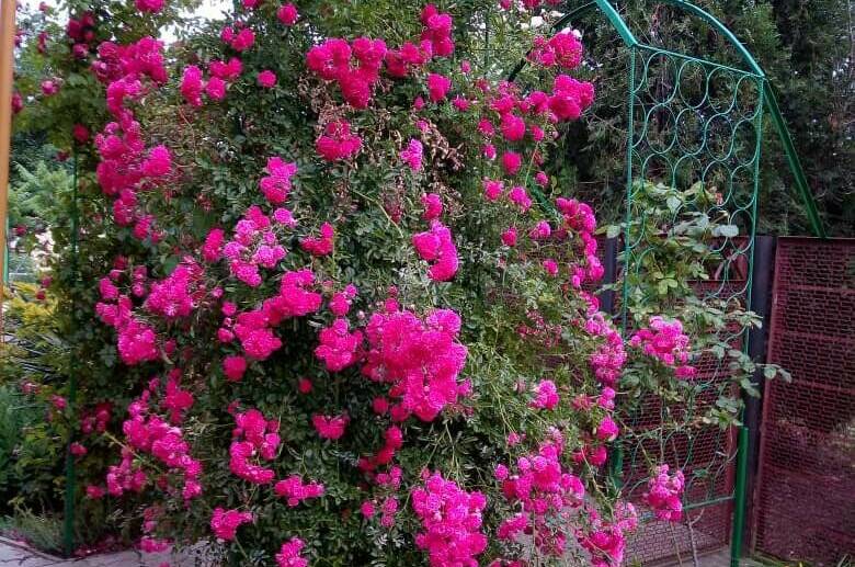 Изображение гостиницы "Частный дом «Вита»" #1