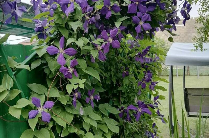 Изображение Изображение гостиницы &quot;Частный дом «Вита»&quot; #3 #1