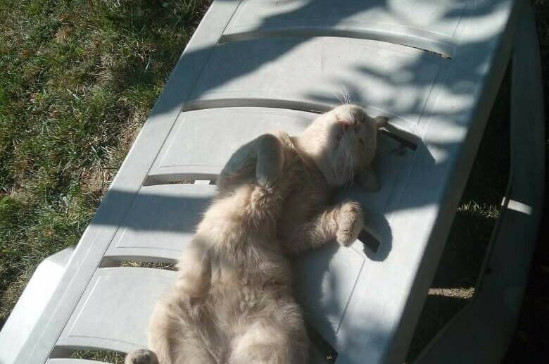 Изображение Изображение гостиницы &quot;Частный дом «Вита»&quot; #6 #4