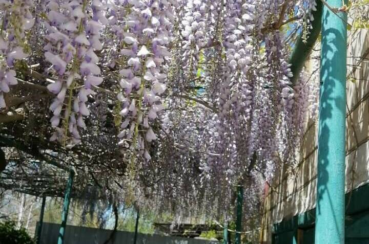 Изображение Изображение гостиницы &quot;Частный дом «Вита»&quot; #8 #6