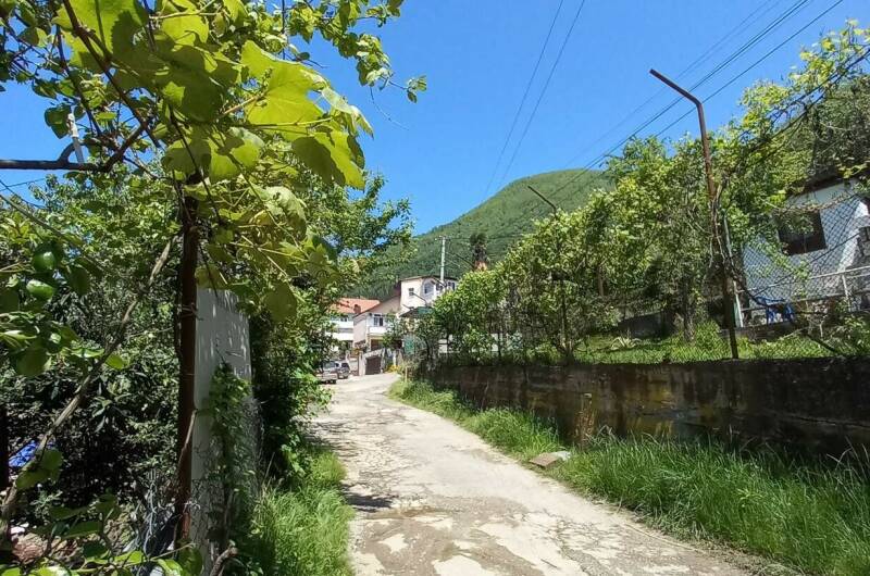 Изображение Изображение гостиницы &quot;Гостевой дом «Тея»&quot; #5 #3