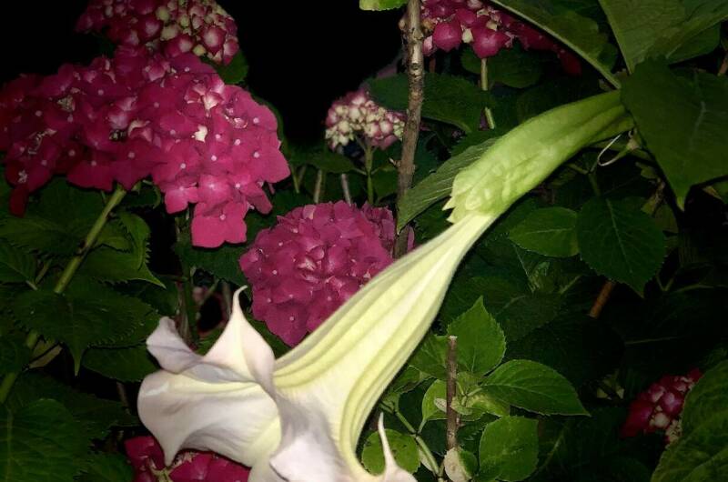 Изображение Изображение гостиницы &quot;Частное домовладение «Баунти»&quot; #4 #2