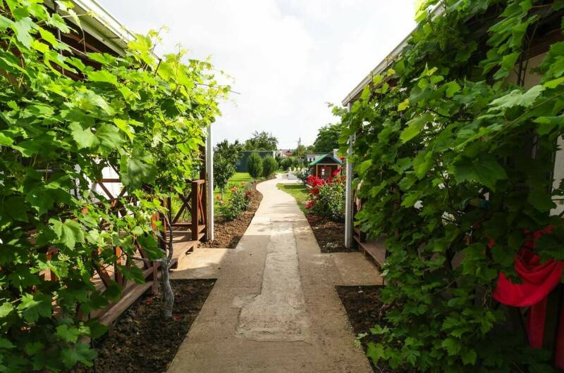 Изображение Изображение гостиницы &quot;Гостевой дом «Юг»&quot; #9 #7