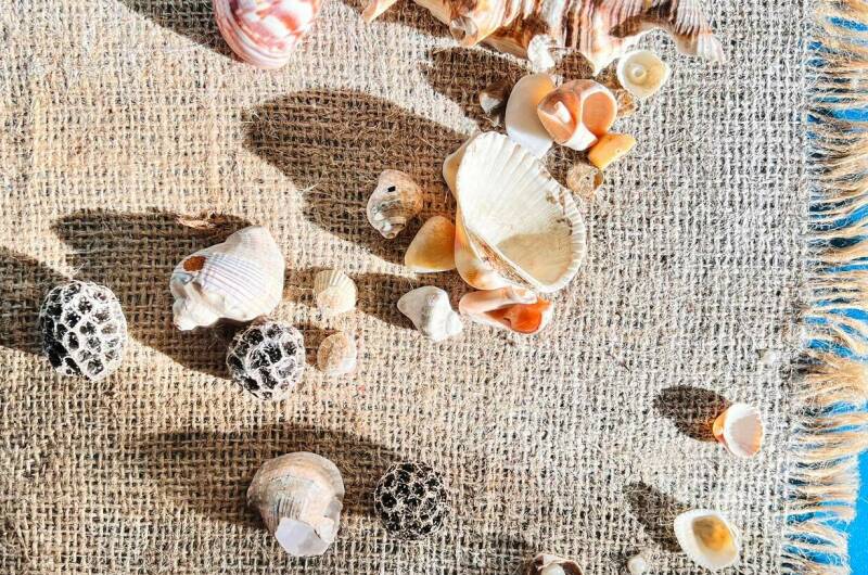 Изображение Изображение гостиницы &quot;Гостевой дом «Зеленый Двор»&quot; #11 #9