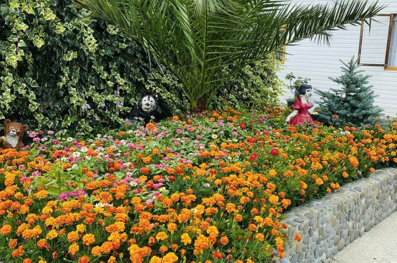 Изображение Изображение гостиницы &quot;Частный сектор «Отдых у Миланы»&quot; #10 #8