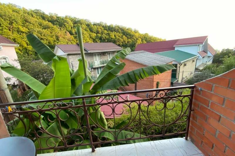 Изображение Изображение гостиницы &quot;Гостевой дом «Светлана»&quot; #11 #9