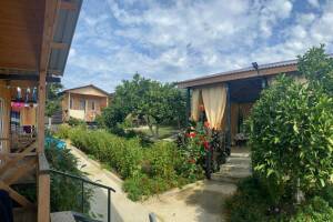 Изображение отеля / гостиницы "Гостевой дом «Adel»"