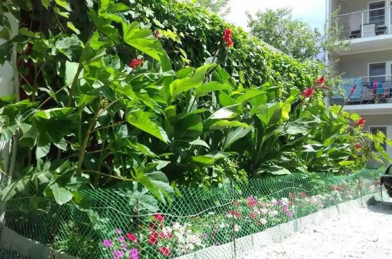 Изображение Изображение гостиницы &quot;Гостевой дом «Бумеранг»&quot; #6 #4