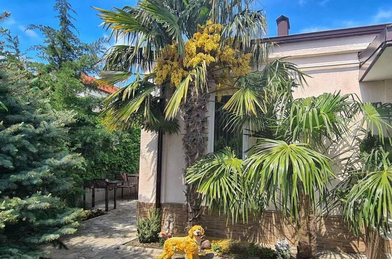 Изображение квартиры "Дом для отдыха" #1