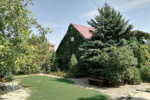 Изображение Должанской #5