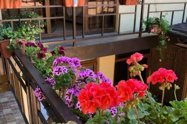 Изображение Изображение гостиницы &quot;Гостевой дом «Мыс Надежды»&quot; #3 #1