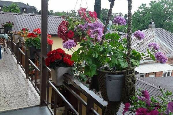 Изображение Изображение гостиницы &quot;Гостевой дом «Мыс Надежды»&quot; #8 #6