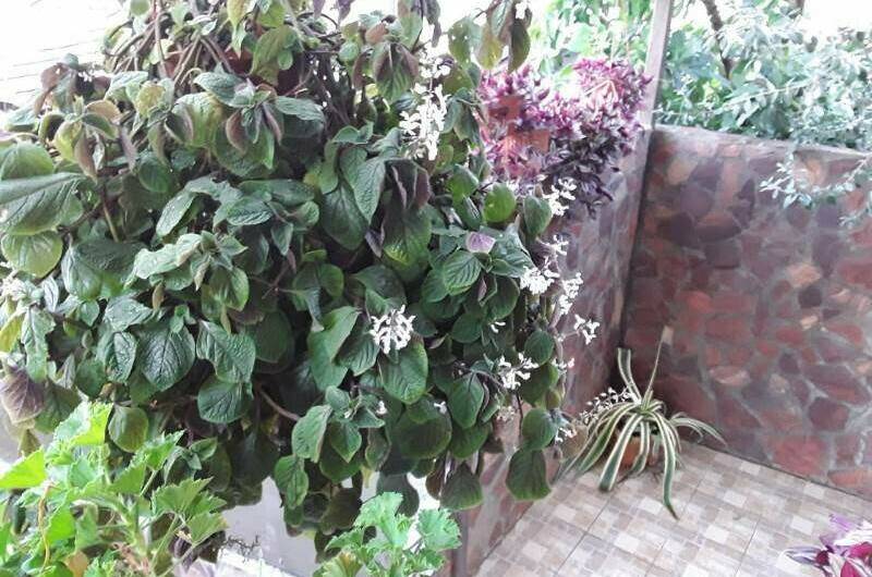 Изображение Изображение гостиницы &quot;Гостевой дом «Мыс Надежды»&quot; #9 #7