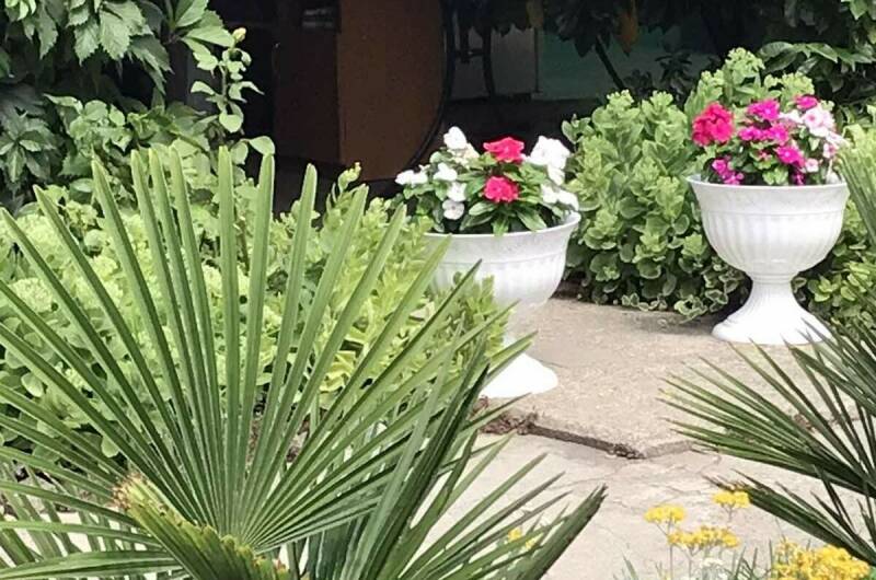 Изображение Изображение гостиницы &quot;Гостевой дом «Веранда»&quot; #3 #1